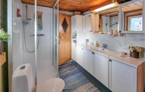 Fagerfjäll Tjörn3 Bedroom Stunning Home In Kllekrr的带淋浴、卫生间和盥洗盆的浴室