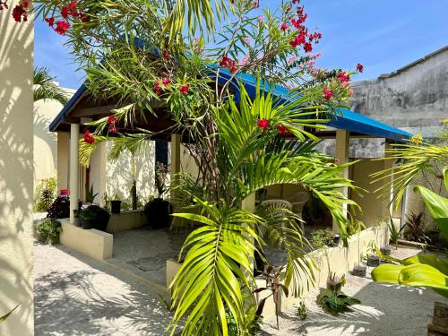 KelaaAthiri Inn Kelaa的前面有棕榈树的房子
