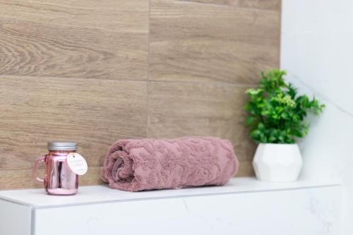 巴奇卡帕兰卡Millennium Apartment的浴室架子上的一个粉红色毛巾