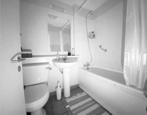都柏林Shared Flat的浴室配有盥洗盆、卫生间和浴缸。