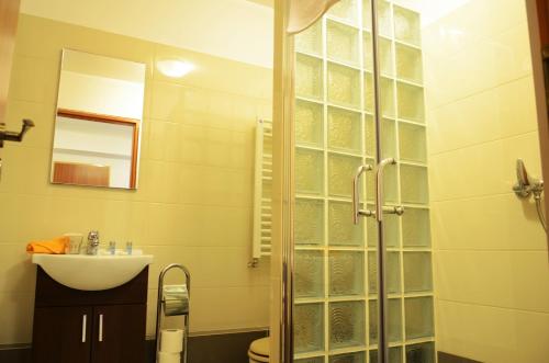 克卢日-纳波卡佐尔络公寓式酒店的一间带水槽和玻璃淋浴的浴室