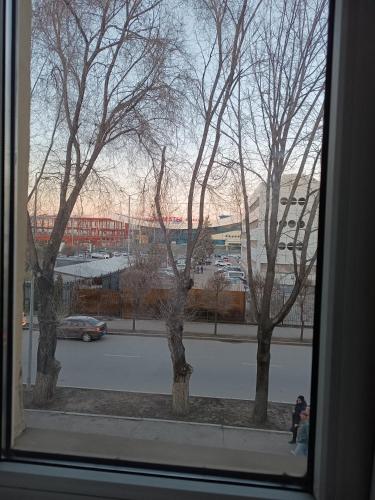 (( Turksib ))Квартира напротив Аэропорта的窗户享有树木林立的停车场的景致