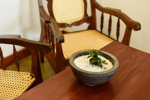 尼甘布Hiru Lagoon Negombo的木桌上放入碗里的植物