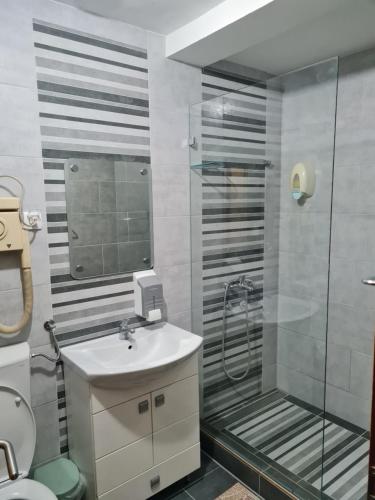 斯雷姆斯基卡尔洛夫奇Vila Belilo的带淋浴、盥洗盆和卫生间的浴室