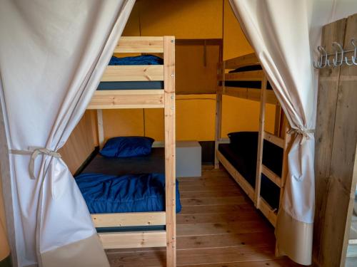 阿珀尔斯哈Safaritent Alkenhaer Appelscha的客房内的双层床和两张双层床