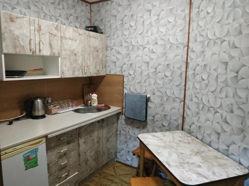 亚列姆切V Ulyanu的一个带水槽和柜台的小厨房