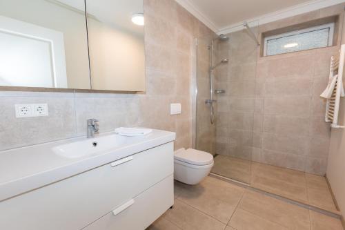 阿克雷里Hrimland Guesthouse的浴室配有卫生间水槽和淋浴。