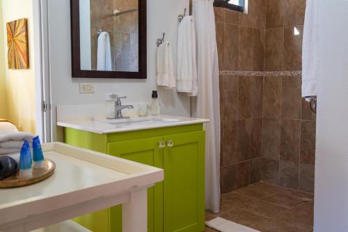 Jost Van DykeJost Van Dyke, BVI 3 Bedroom Villa with Caribbean Views & Pool的绿色浴室设有水槽和淋浴