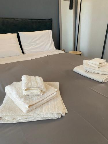 阿克拉塔Luxury Apartment的床上有两条毛巾