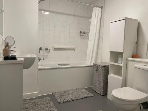 伦敦Spacious Flat in Manor House, London的带浴缸、卫生间和盥洗盆的浴室