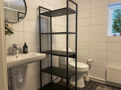 JärnaHoliday home JÄRNA II的浴室设有位于卫生间上方的黑架子。