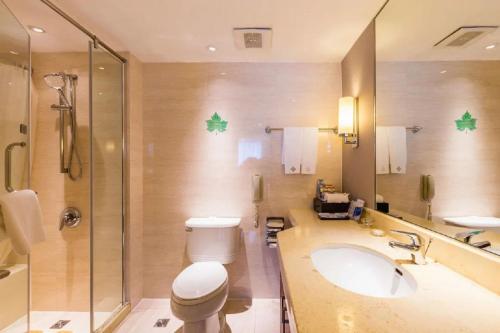 南京Shu Guang International Hotel的浴室配有卫生间、盥洗盆和淋浴。