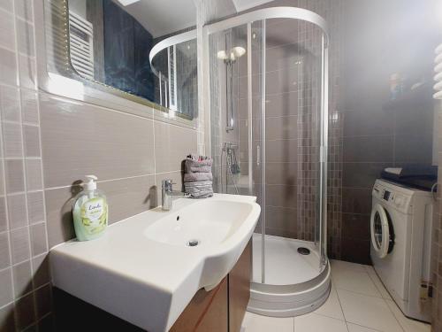 格但斯克Central Apartments Garnizon 928 & Parking的一间带水槽和洗衣机的浴室
