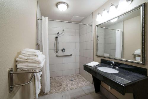 科珀斯克里斯蒂Econo Lodge Inn & Suites Corpus Christi的浴室配有盥洗盆和带镜子的淋浴