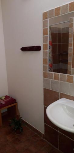 伊格莱西亚斯L'arancio Antico的浴室配有白色水槽和淋浴。