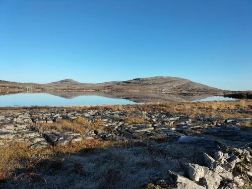 The Burren B&B的田间中的小湖