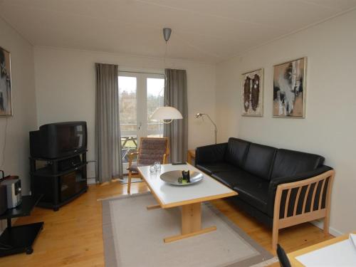 海尔斯Apartment Runhild - 100m from the sea in NE Jutland by Interhome的客厅配有黑色沙发和桌子