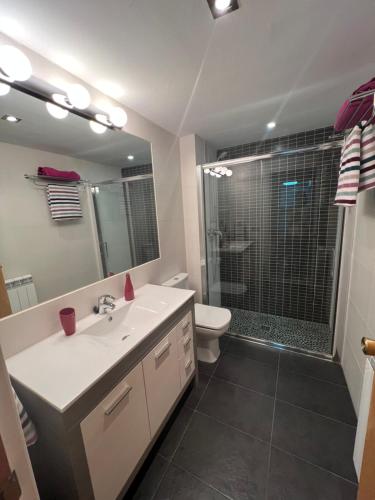 哈卡Apartamento Muga的一间带水槽、卫生间和淋浴的浴室