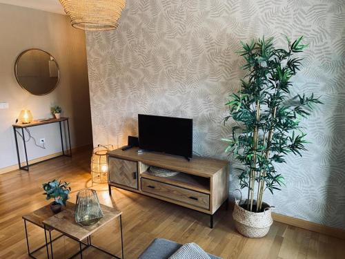利亚内斯Apartamento Aldeana的客厅配有电视机、橱柜和植物