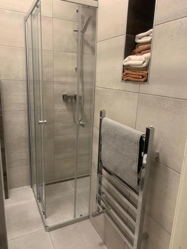 布拉格卜贝内克公寓的浴室设有玻璃淋浴间和毛巾