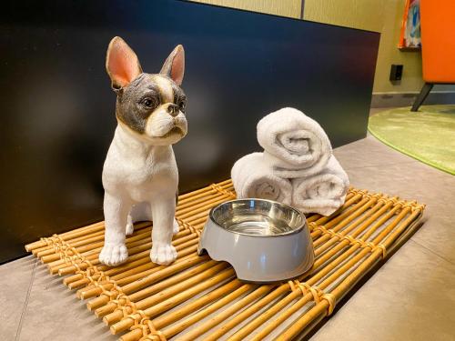 斯德哥尔摩ProfilHotels Nacka的一只小狗站在一个装有一碗水的托盘上