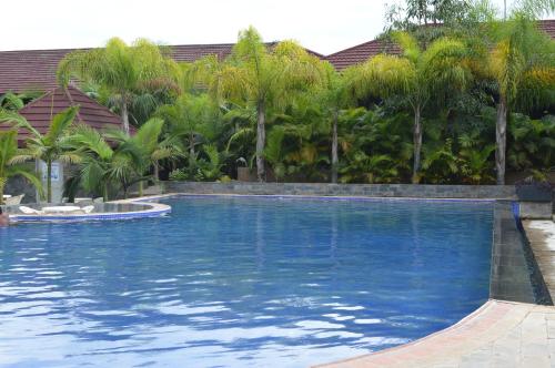 卢萨卡Palm Kalash Hotel的一座棕榈树环绕的大型游泳池