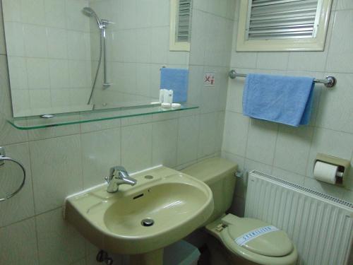 卡科佩特里亚西拉斯酒店的一间带水槽、卫生间和镜子的浴室