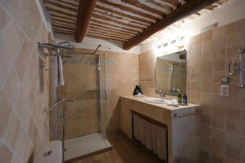 戈尔德LA FERME DE LA HUPPE的带淋浴、盥洗盆和淋浴的浴室