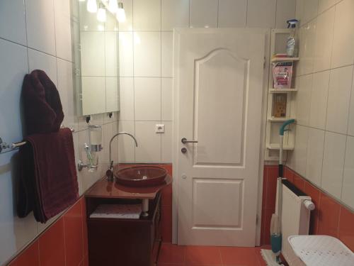茹帕尼亚APARTMAN SOFIA的一间带水槽、镜子和门的浴室
