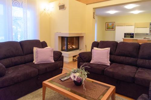 JasenakVilla Bjelolasica的客厅设有两张沙发和一个壁炉