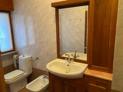 西斯蒂亚纳Apartment Fabiola的一间带水槽、卫生间和镜子的浴室