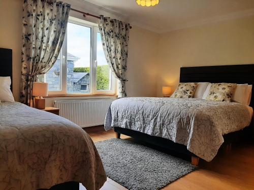 本拉提Bunratty Haven Bed & Breakfast的一间卧室设有两张床和窗户。