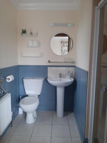 本拉提Bunratty Haven Bed & Breakfast的一间带卫生间和水槽的浴室