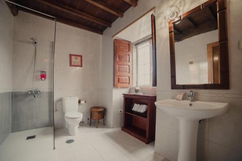 欧德鲁佐Santaia en Casal de Calma的一间带水槽、卫生间和淋浴的浴室