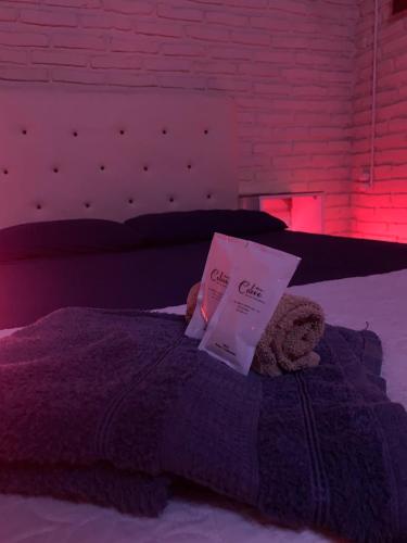 萨尔托Habitaciones amplias con baño y garage privado Motel Coloso的泰迪熊躺在床上看书