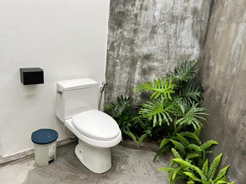 Trà VinhMalis Homestay的一间带卫生间和一些植物的浴室