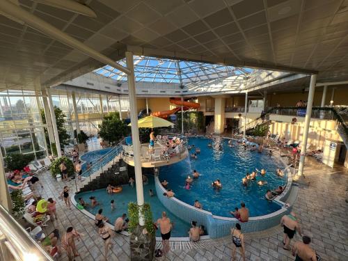 布拉索夫Hotel Alinalex - Paradisul Acvatic的一群人,在一座建筑物的游泳池里