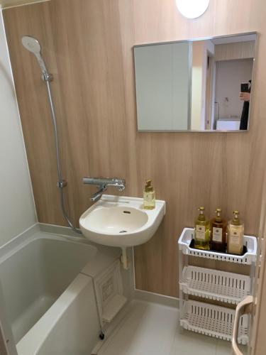 大阪Nippombashi Art Hotel 501的浴室配有盥洗盆、镜子和浴缸