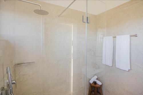 MalschWeinberg Chalets的带淋浴的浴室和玻璃门