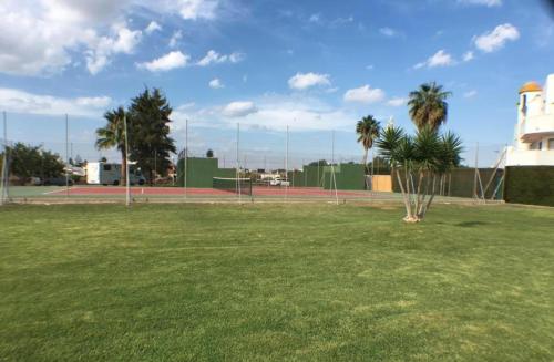 奇克拉纳－德拉弗龙特拉APARTAMENTO EN LOS GALLOS的一座种有棕榈树的网球场