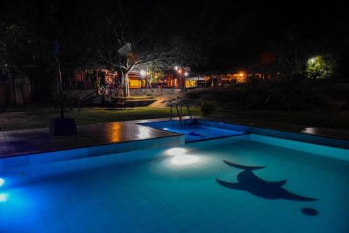 汉班托塔Vintara Eco Resort的游泳池,晚上有鲨鱼画
