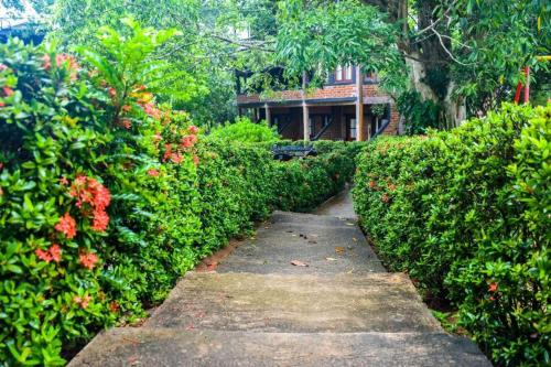 汉班托塔Vintara Eco Resort的穿过灌木丛和建筑的花园的路径