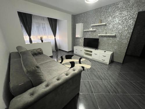 雅西Apartament spațios, zona centrală în Iași的带沙发和电视的客厅