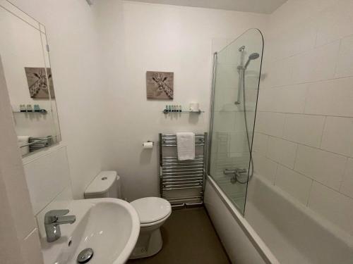 牛津The Bell Inn的浴室配有卫生间水槽和淋浴。