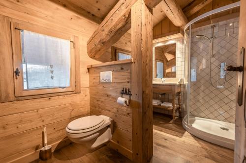 拉克吕萨La Ferme du Var的木制浴室设有卫生间和淋浴。
