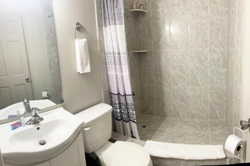乔治敦Lace Bed & Breakfast的带淋浴、卫生间和盥洗盆的浴室