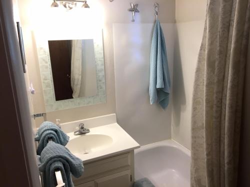 玛瑙湾Classic Carnelian Bay Log Cabin的浴室配有盥洗盆、镜子和浴缸