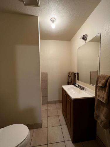 Delta JunctionDraft House & Lodge的一间带水槽、卫生间和镜子的浴室
