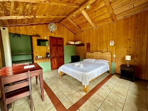 圣伊西德罗Hotel de Montaña El Pelicano的一间卧室配有一张床和一张书桌
