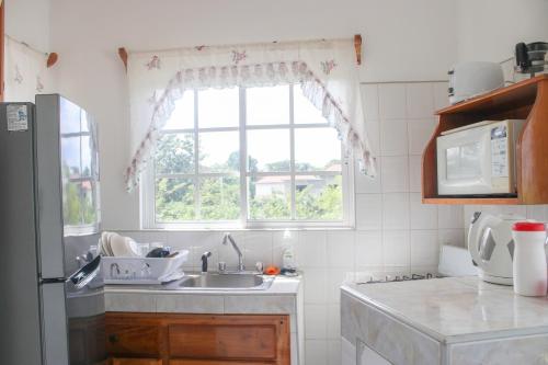 尼格瑞尔Van Villa Guesthouse的厨房设有水槽和窗户。